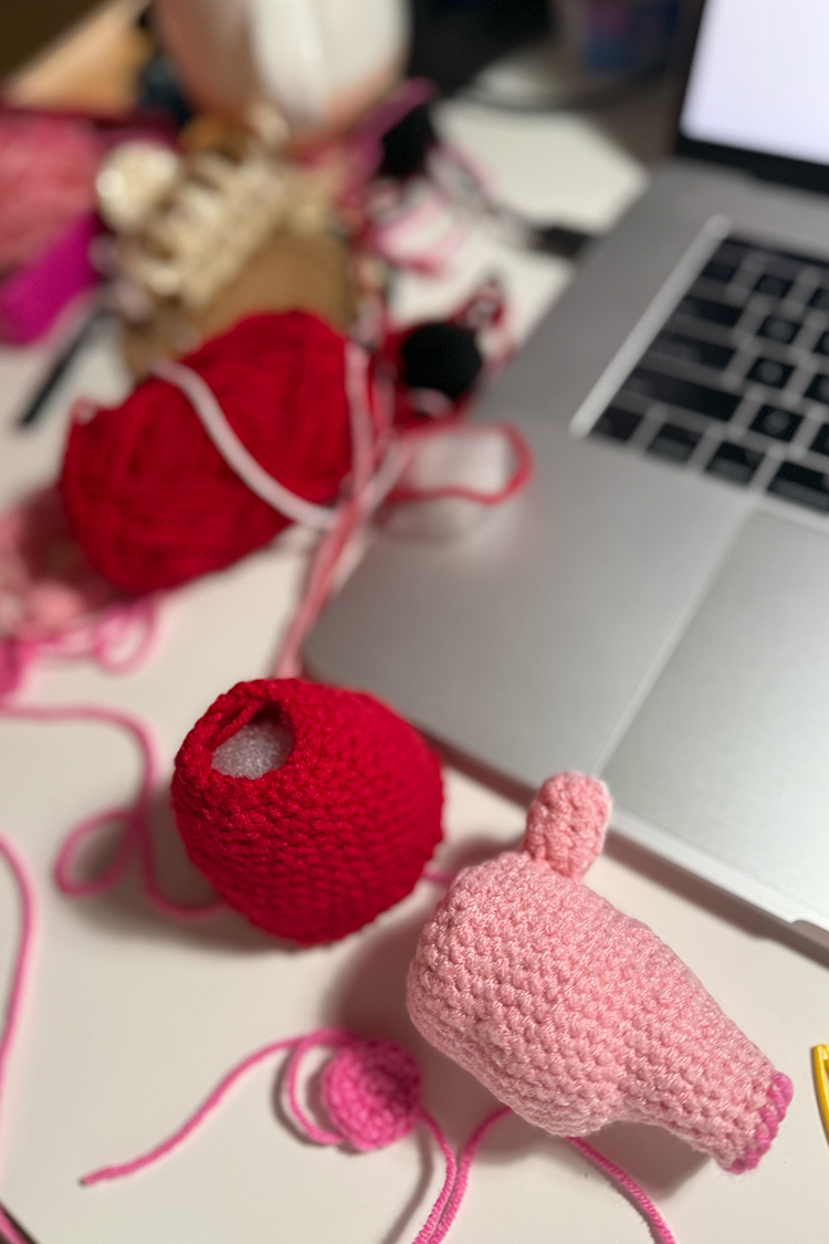 CookieChan_Crochet_Pig1