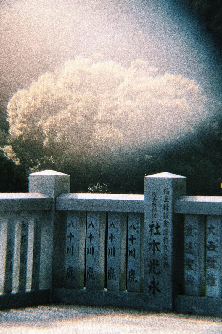 CookieChan_Photography1