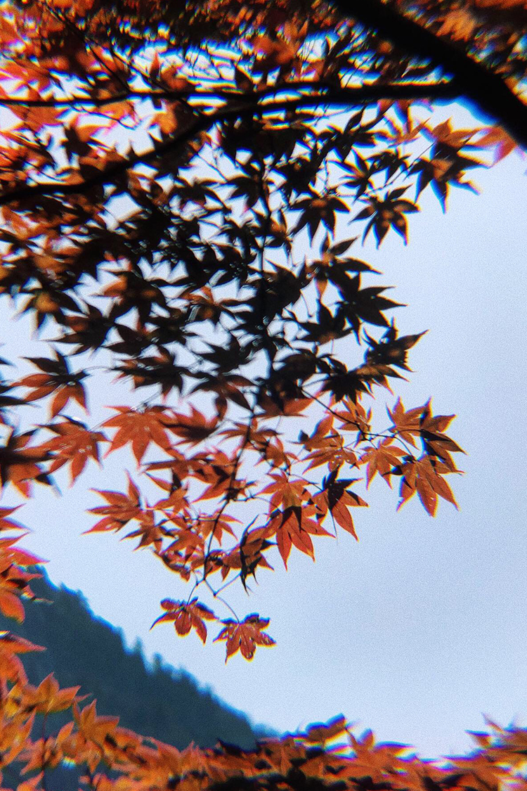 CookieChan_Photography12