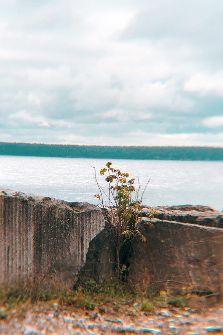 CookieChan_Photography8