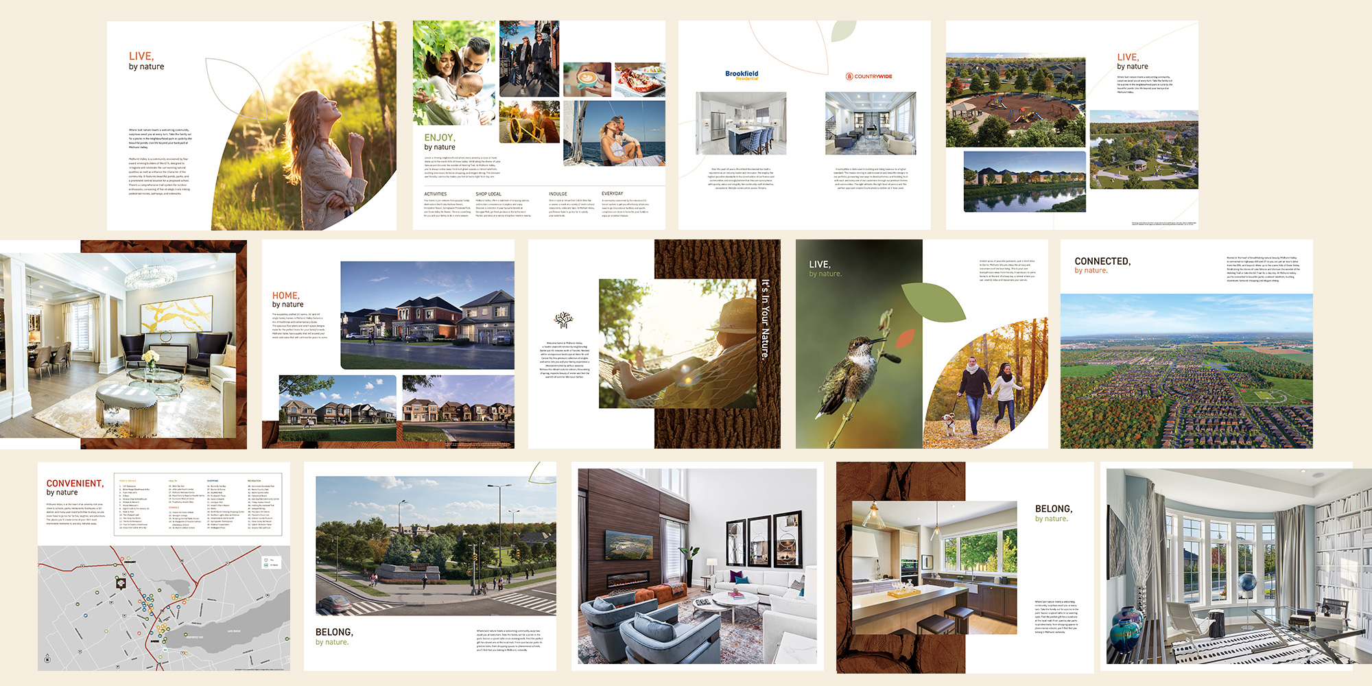 MidhurstValey_Brochure